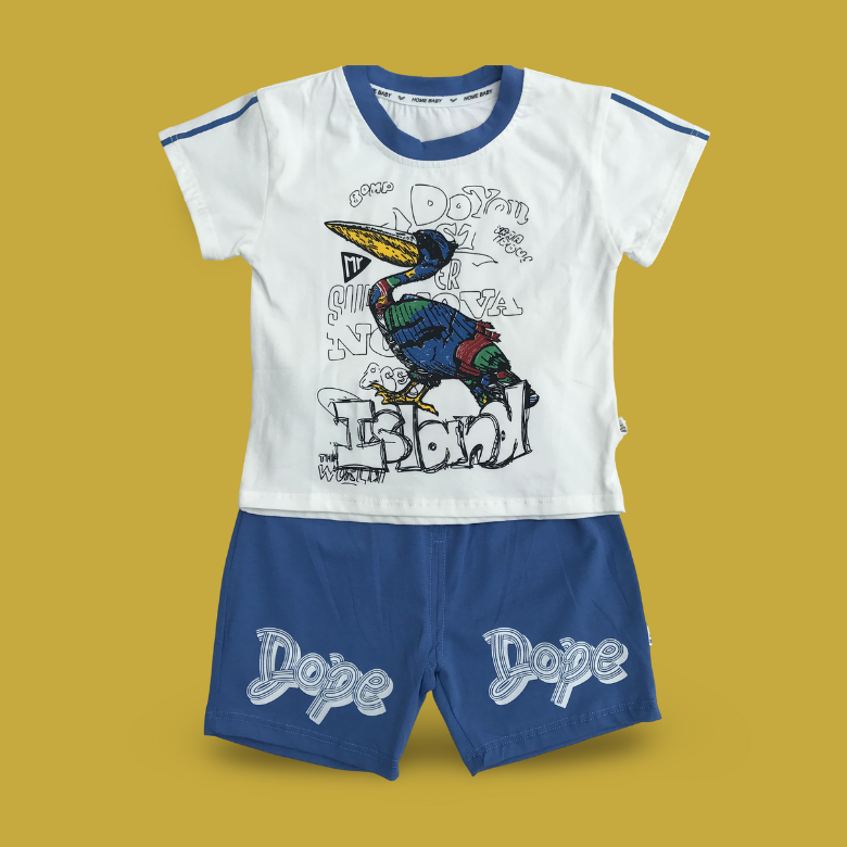 Toddler Boys Summer Bird T-Shirt & Shorts