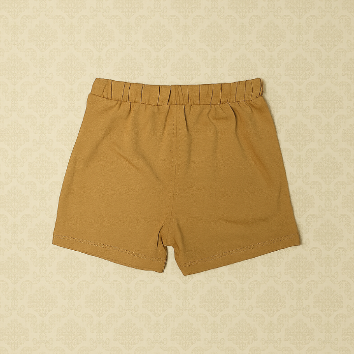 Baby Boys  T-Shirt & Shorts Set