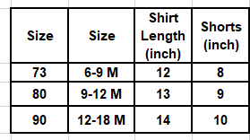 Baby Boys  T-Shirt & Shorts Set